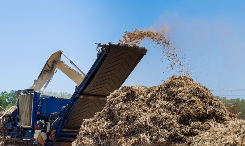 in-preparation-for-the-construction-of-housing-dev-2025-03-27-03-35-05-utc-min (1)